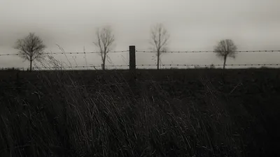Black and white rural landscape with barbed wire fence, wooden post and bare trees in misty field
