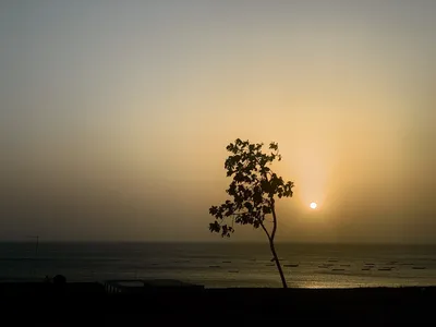 Street portrait in Lisbon: a stern elderly woman leaning against a movie poster on a bus shelter, creating a visual pun where the poster's woman appears to lick her head