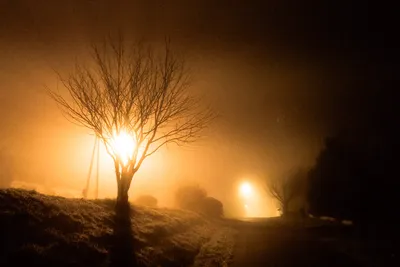 Night scene in a Breton village in Morbihan: amber sodium streetlights diffused by nocturnal fog in front of a bare winter tree