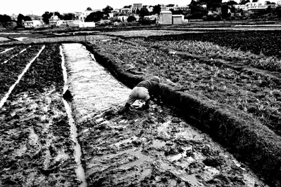Black and white photo of a man working in a rice field near Antananarivo, Madagascar