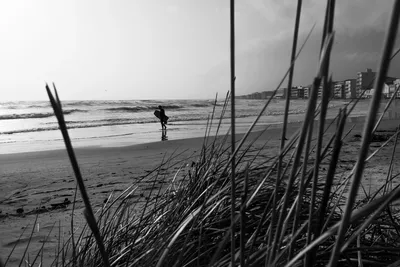 Black and white lone surfer walking along shoreline in Palavas-les-Flots bay with tall grass in foreground