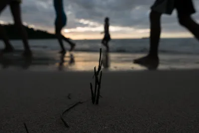 Children's legs playing on the beach at sunset, Nosy Be island, Madagascar