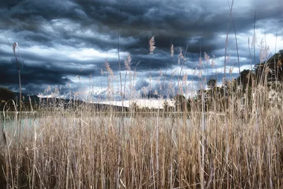 Photography by Cédric Derlyn 9